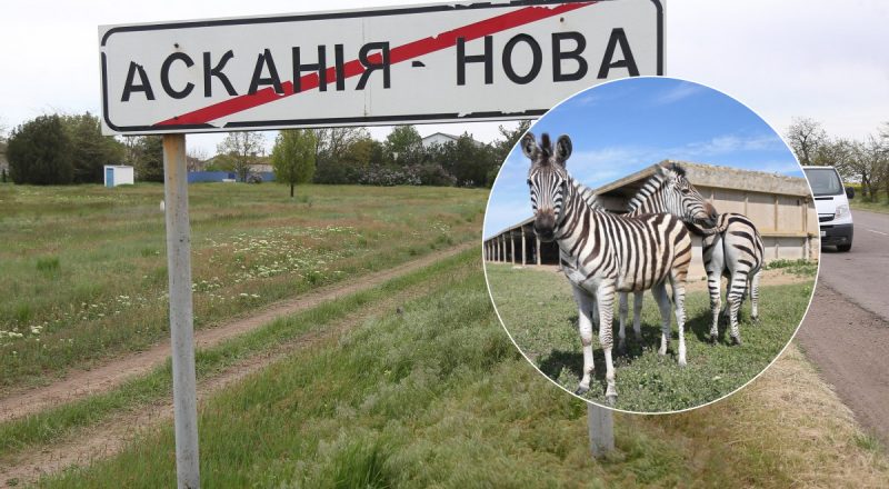 Действительно ли заповедник "Аскания-Нова" уничтожен: окончательный ответ дирекции