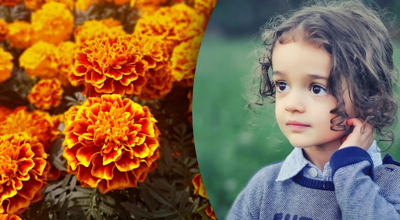 Китайский гороскоп на сегодня 22 августа: Тиграм - неудачи, Лошадям - скандал