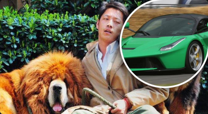 Дороже Феррари: сколько стоит самая дорогая собака в мире