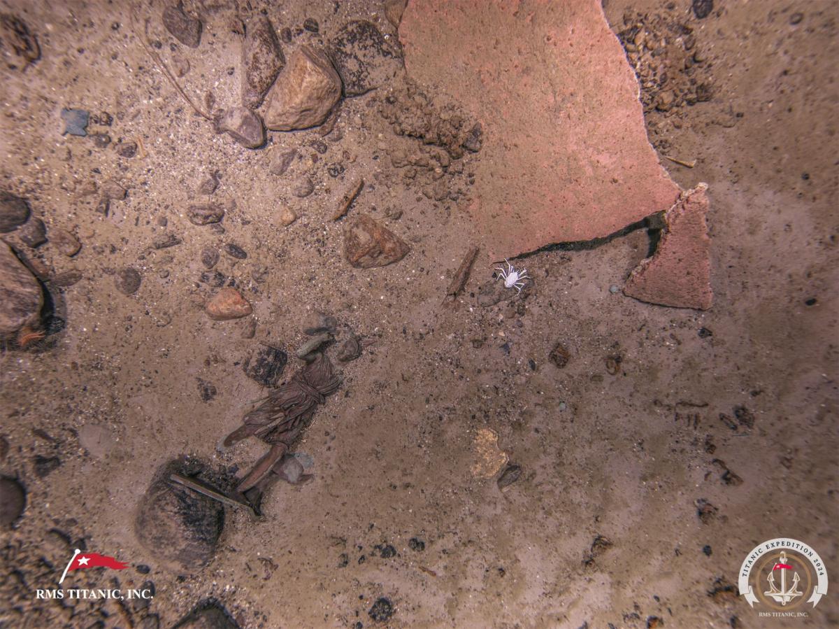 Нові фото "Титаніка", зроблені влітку 2024 року Нові фото "Титаніка", зроблені влітку 2024 року