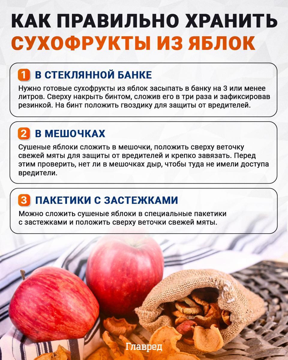 Как правильно хранить сухофрукты из яблок инфографика