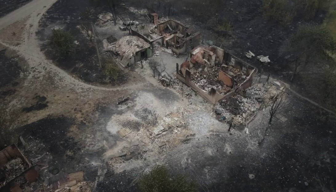 Лісова пожежа знищила село Студенок у Харківській області