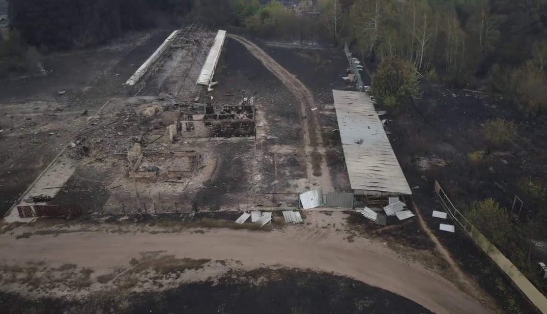 Лісова пожежа знищила село Студенок у Харківській області