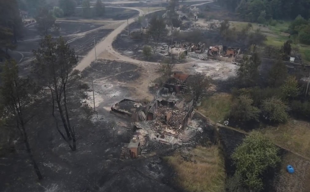 Лісова пожежа знищила село Студенок у Харківській області