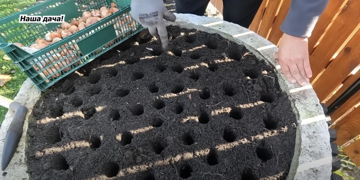 Скриншот Скриншот