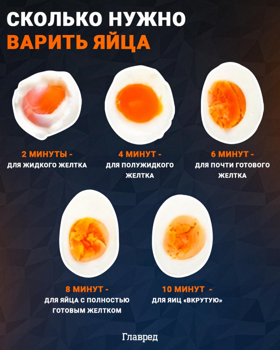 Яйца, сколько варить яйца, инфографика Главред