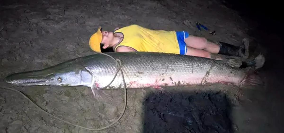 Рыба, женщина