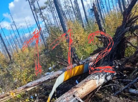 В Амурській області РФ розбився вертоліт В Амурській області РФ розбився вертоліт