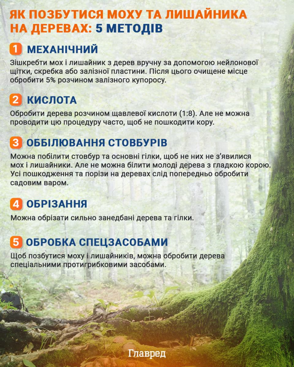 Граблі більше не потрібні: як швидко позбутись від опалого листя - 'золоте правило' Граблі більше не потрібні: як швидко позбутись від опалого листя - 'золоте правило'