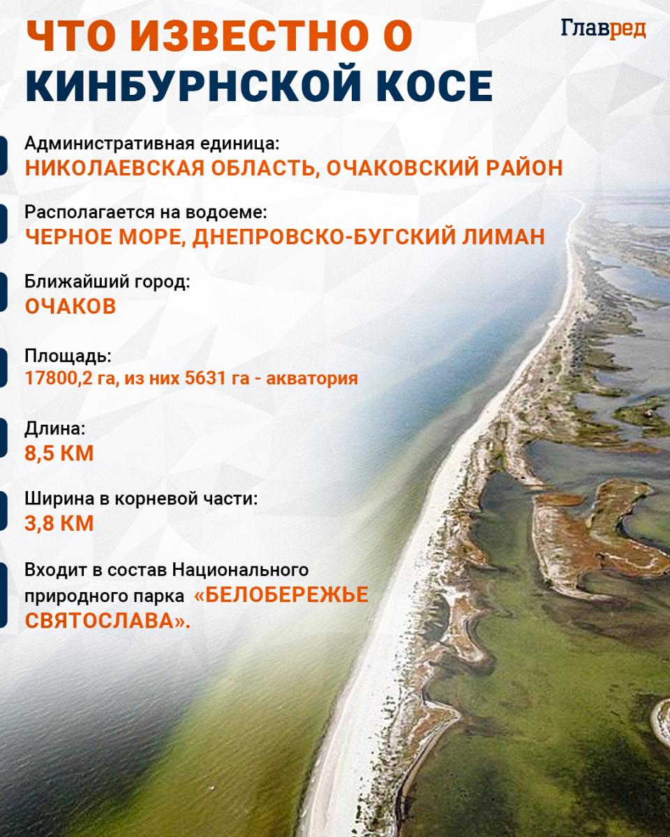 Кинбурнская коса инфографика Кинбурнская коса инфографика