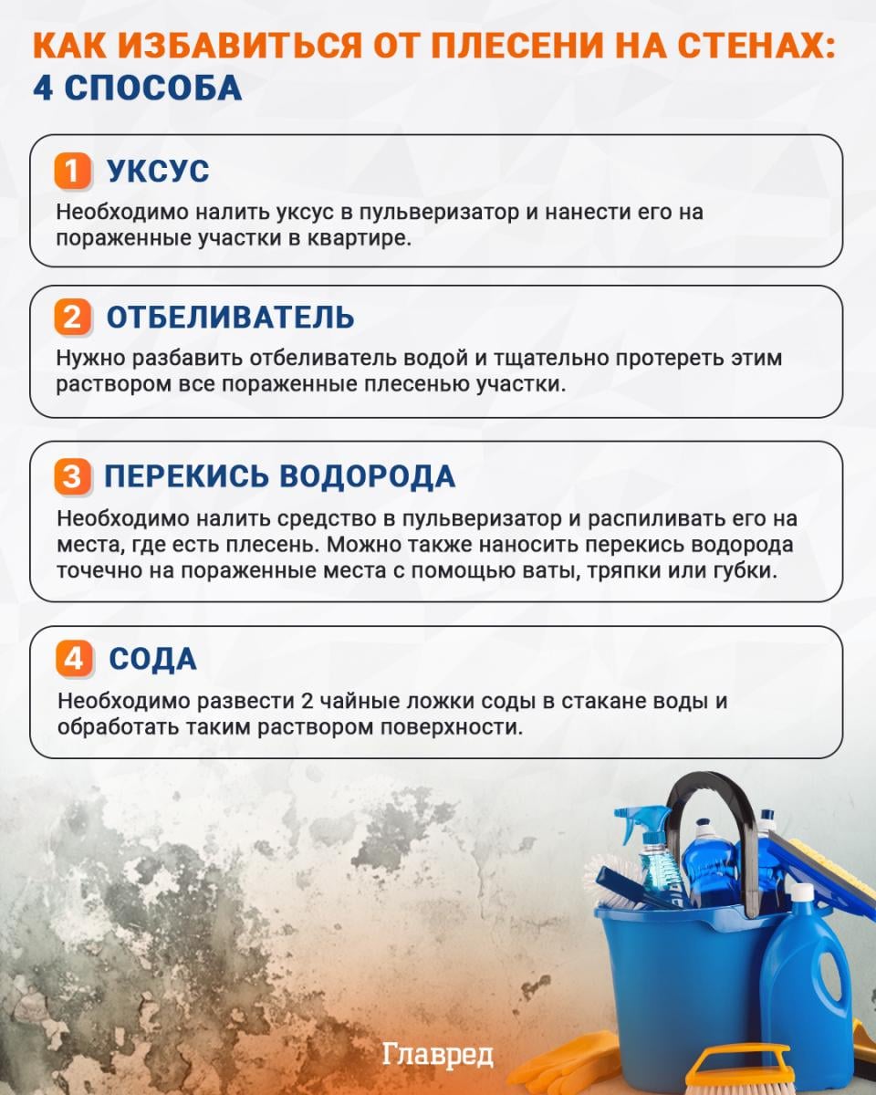 Как избавиться от плесени на стенах