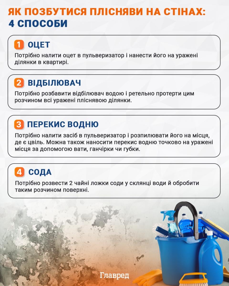 Как избавиться от плесени на стенах