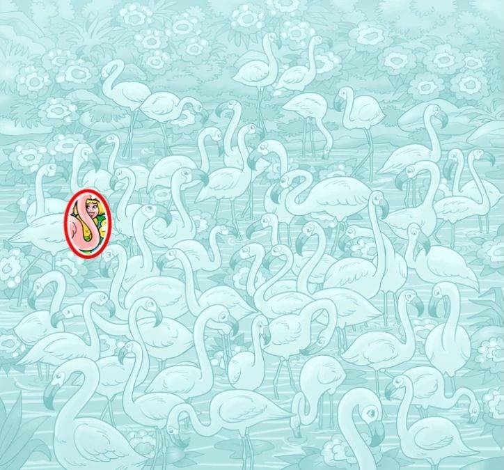 Разгадка Разгадка