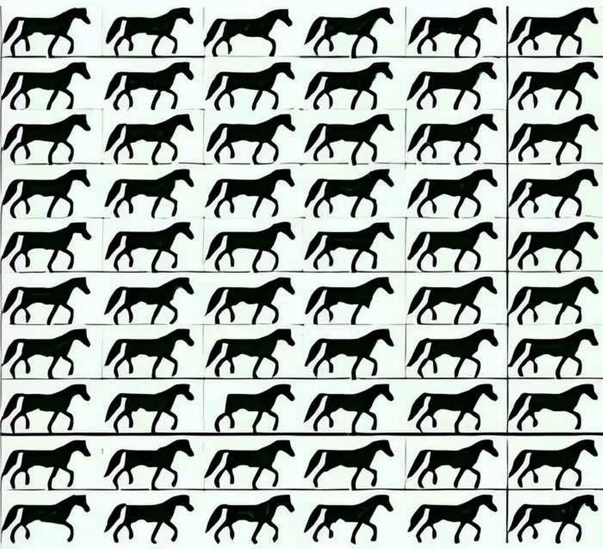 Чи зможете ви вирішити головоломку за 5 секунд 