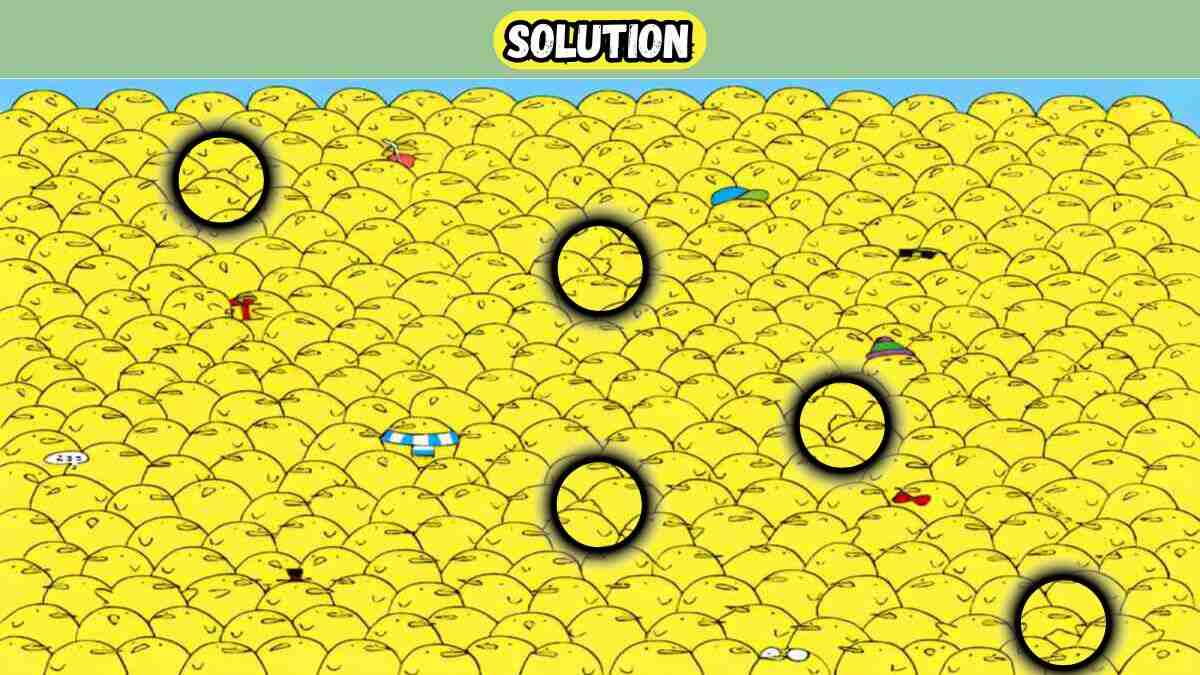 Загадка Загадка