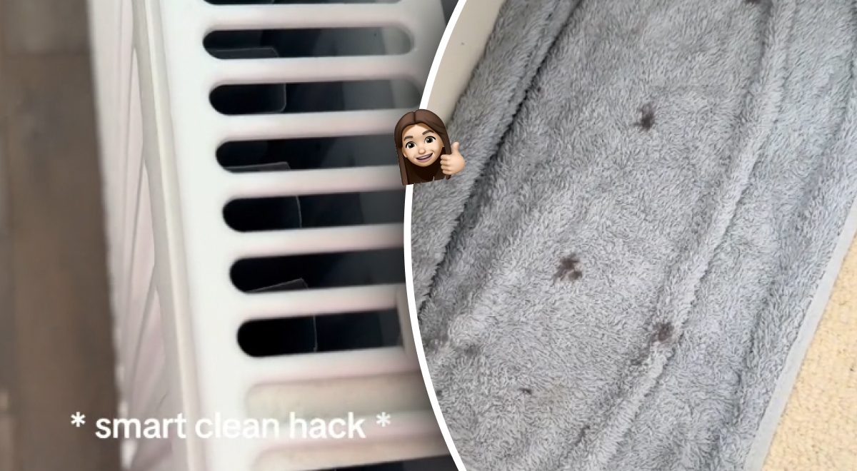 Девушка показала, как почистить радиатор отопления от пыли - Главред