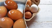 Вистачить чайної ложки: що додати під час варіння яєць, щоб шкаралупа легко чистилася
