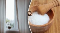 Прикмети і забобони тут ні до чого: для чого потрібно ставити сіль на підвіконня