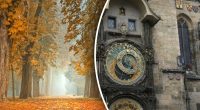 Финансовый гороскоп на неделю 9 по 15 сентября: Овну - прибыль, Раку - выгода