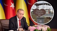 Президент Турции издал важное заявление о возвращении Крыма Украине