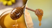 Як визначити натуральний мед чи ні не відходячи від прилавка