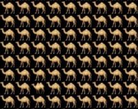 Ребус для тих, у кого чудовий зір: треба за 5 секунд знайти верблюда