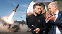 Шольц отказал Зеленскому: ФРГ не будет передавать Украине тяжёлую технику – Bild