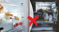 Як зберігати вимкнений холодильник, щоб не зламати його