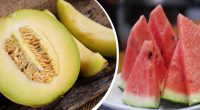 Не фрукт і не ягода: чим насправді є диня та кавун - несподівана відповідь