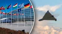 В НАТО выдали странное заявление, почему к ним залетают дроны РФ - Defense Express