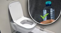 Як пробити унітаз без вантуза: звичайна пляшка врятує в найнеочікуваніший момент