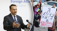Підтримка щодо вступу в ЄС: у Польщі заговорили про