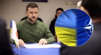 Запрошення України до НАТО: в Зеленського розкрили частину 
