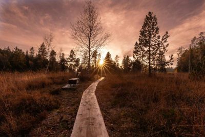 Вдарить +8 градусів: у яких областях України різко похолодає