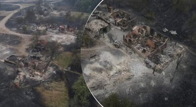 лісова пожежа знищила село Студенок у Харківській області лісова пожежа знищила село Студенок у Харківській області