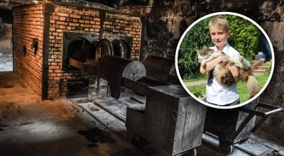 Крематорий, кот Крематорий, кот