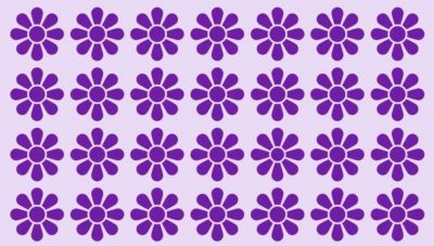 Тільки гостроокий геній побачить "дивну квітку": на загадку дається всього 8 секунд