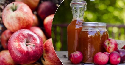 Лучше, чем из магазина: рецепт самого вкусного яблочного сидра