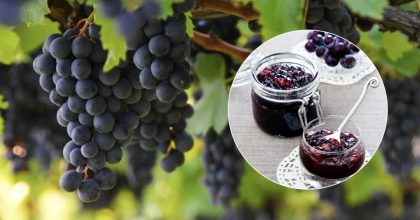 Вкусно и необычно: рецепт варенья из темного винограда