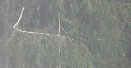 Похолодает до +5: в Украину возвращаются ливни с грозами