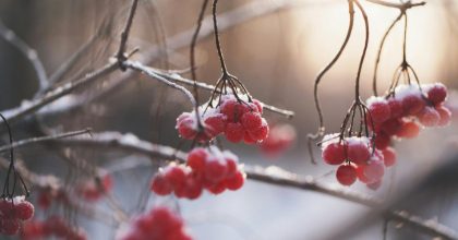 Мороз окончательно не отступает из Полтавщины: когда температура поднимется выше 0°C