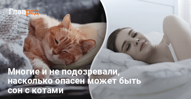 История № Ранние девяностые, если вдуматься, были жутким временем.…