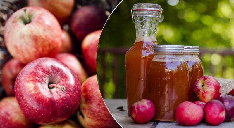 Лучше, чем из магазина: рецепт самого вкусного яблочного сидра