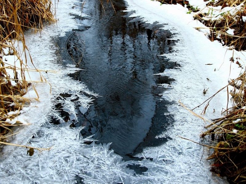 Ударят первые заморозки: известна дата сильного похолодания