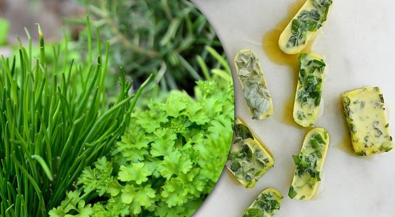 Как зелень заморозить кубиками льда: лучший кулинарный лайфхак