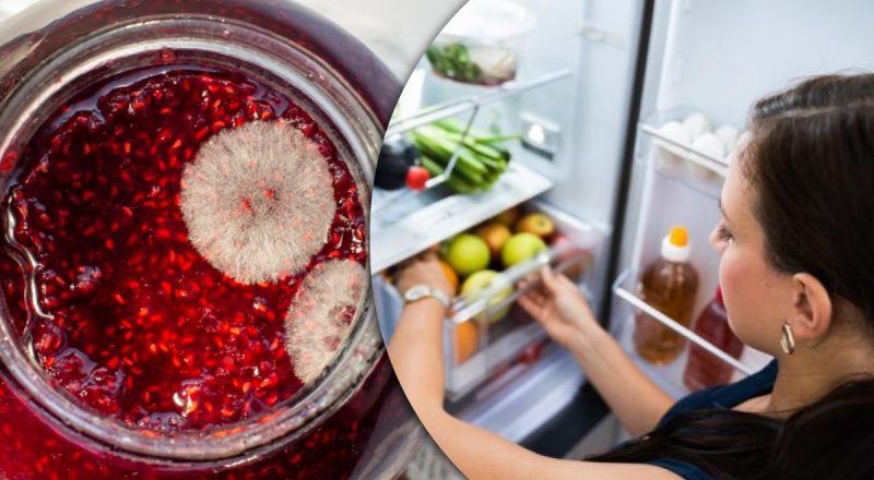 Растет как на дрожжах: эксперт назвала продукт-рассадник плесени в холодильнике