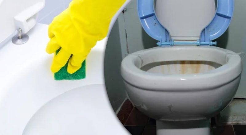 Французы держат этот метод в секрете: зачем засыпать порошок в унитаз