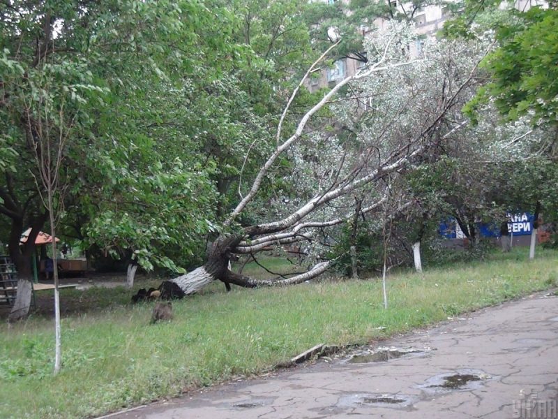 Буде сильний вітер: названо дату, коли в Україну повернуться дощі