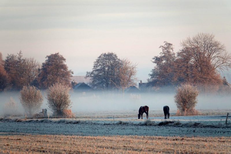Прийде сильне похолодання: синоптик назвала дату повернення дощів