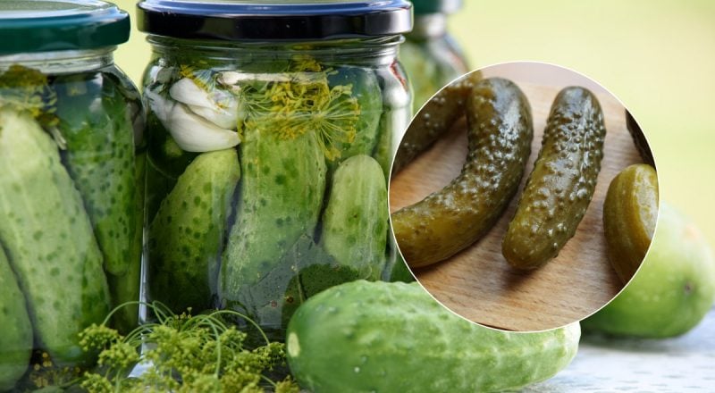 Опытные гурманы кладут секретную добавку: как засолить огурцы, чтобы хрустели